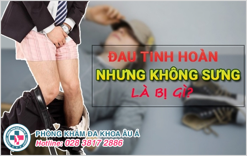 Đau tinh hoàn nhưng không sưng là bị gì?