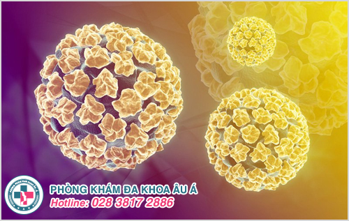 Vi khuẩn HPV gây bệnh mạnh hay yếu