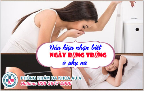 Dấu hiệu nhận biết ngày rụng trứng ở phụ nữ