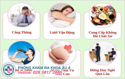 hậu môn bị lồi là bệnh trĩ nội hay trĩ ngoại