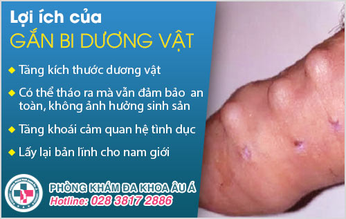 địa chỉ găm bi giá rẻ tphcm