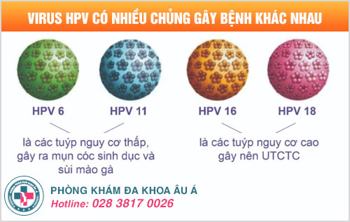 Bị nhiễm HPV có quan hệ được không