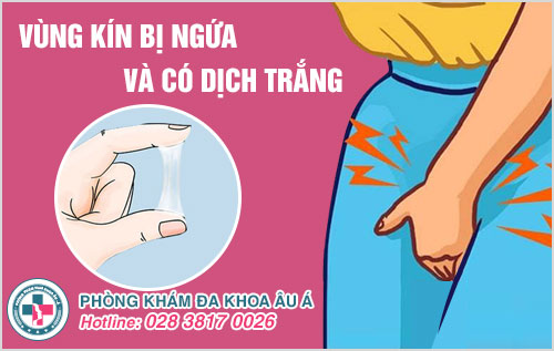 Cách trị vùng kín bị ngứa và có dịch trắng