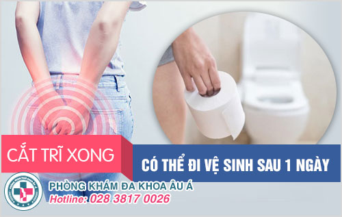 Cắt trĩ xong có đi vệ sinh được không