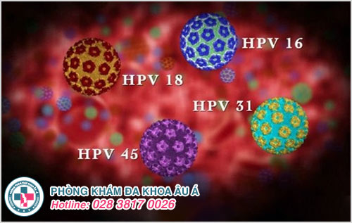 HPV bao lâu tự đào thải