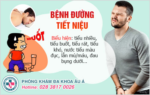 kháng sinh trị viêm đường tiết niệu