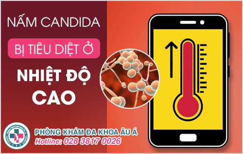 Nấm Candida bị tiêu diệt ở nhiệt độ bao nhiêu? Biết để phòng bệnh