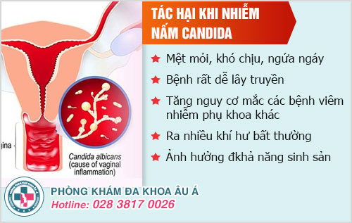 Nấm Candida kiêng ăn gì