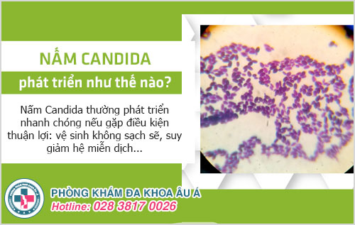 Nấm Candida phát triển như thế nào? Có nguy hiểm không?