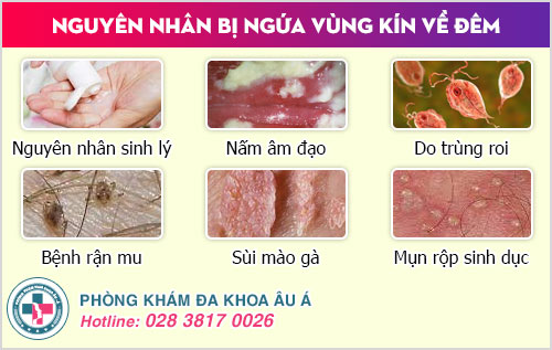 Ngứa vùng kín về đêm