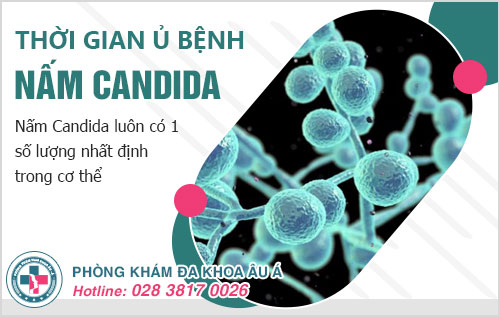 Thời gian ủ bệnh nấm Candida bao nhiêu lâu?