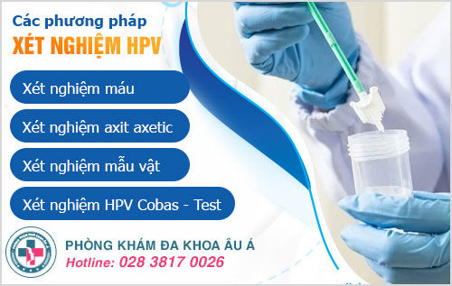 Virus HPV có trong máu không