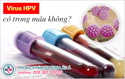 Virus HPV có trong máu không? Cách sớm phát hiện virus HPV