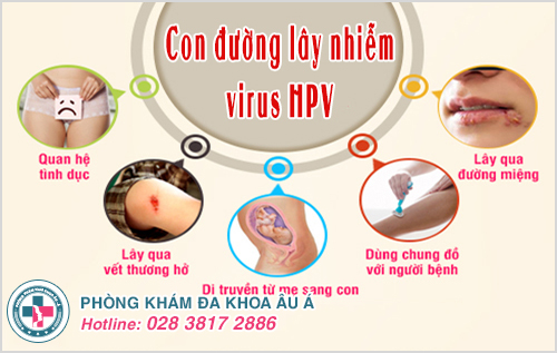 Nguyên nhân nhiễm virus hpv là gì? Cách điều trị hiệu quả