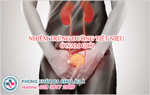 Nhiễm trùng đường tiết niệu ở nam giới và cách điều trị hiệu quả