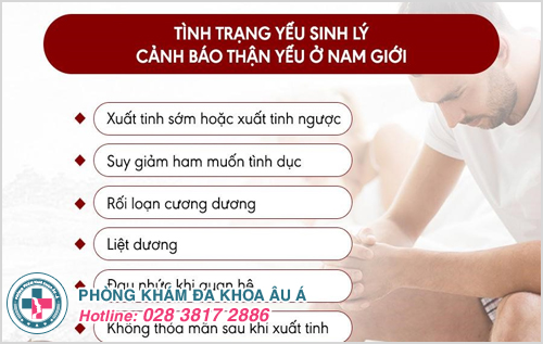 Khi thận suy yếu sẽ gây ra những tình trạng yếu sinh lý ở các quý ông