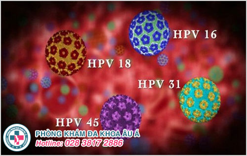 Virus HPV là loại virus gây u nhú ở người, loại virus này có thể gây viêm nhiễm