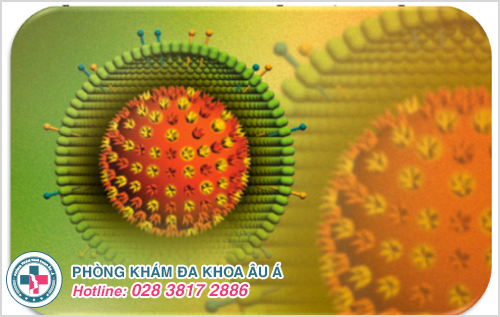 Virus HSV là gì?Xét nghiệm HSV ở đâu chính xác và an toàn?